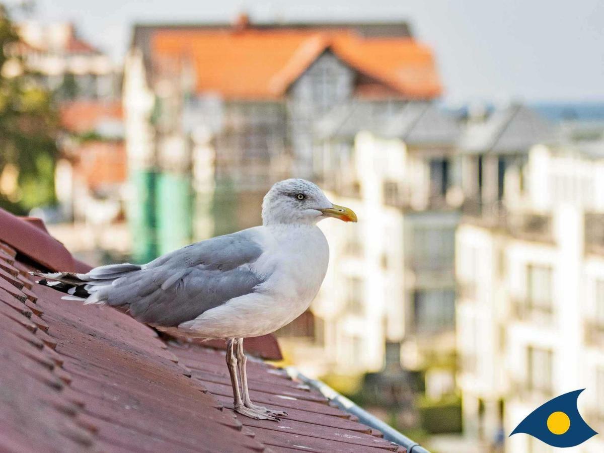 Villa Carola Whg "Moewennest" Χέρινγκσντορφ Εξωτερικό φωτογραφία